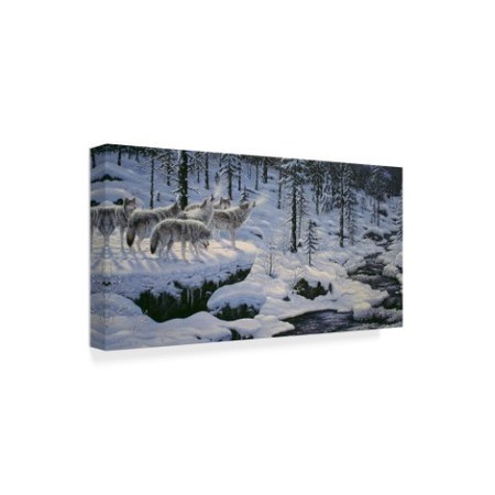 Trademark Fine Art Jeff Tift 'Winters Cry' Canvas Art, 12x24 ALI30215-C1224GG
